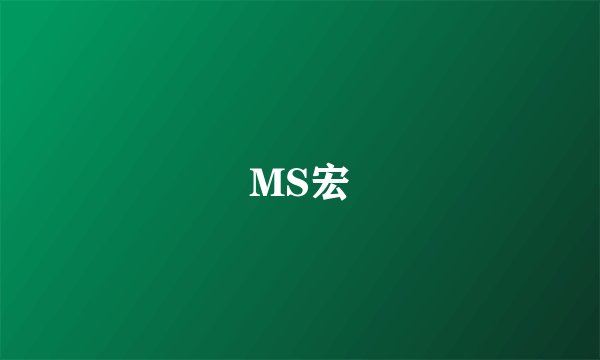 MS宏
