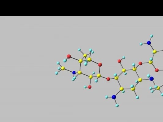 进口恩替卡韦分散片