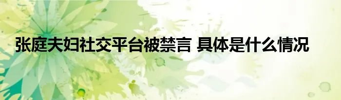 张庭夫妇社交平台被禁言 具体是什么情况