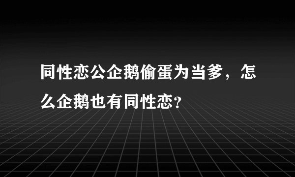 同性恋公企鹅偷蛋为当爹，怎么企鹅也有同性恋？