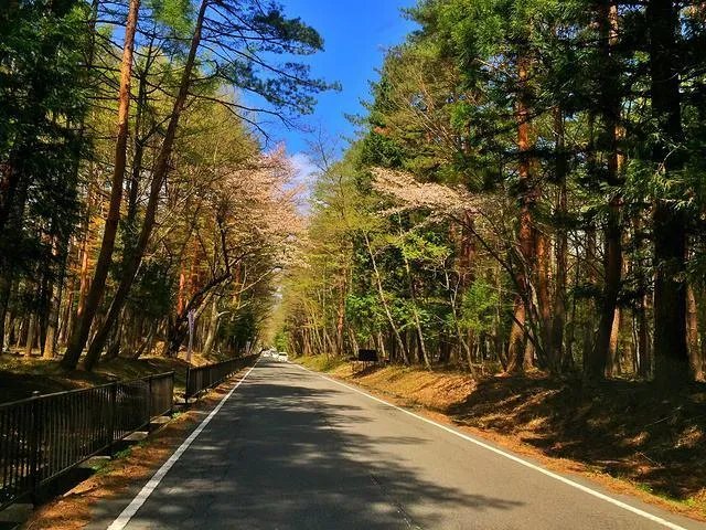 辛巴、散打哥宣布退网,是赚够了?还是动了别人的蛋糕被威胁了?