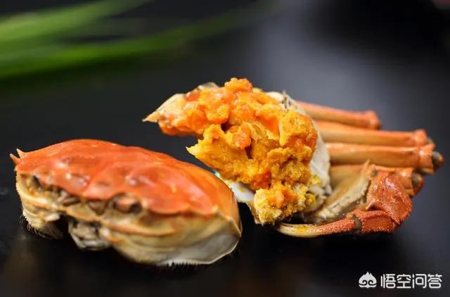 德国大闸蟹和阳澄湖大闸蟹，哪个好吃？