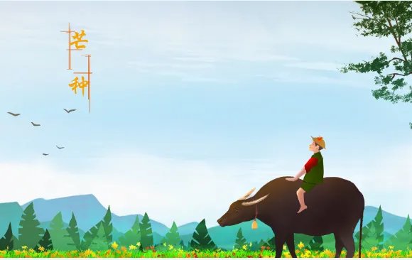 2020年芒种时间:2020芒种是几月几号