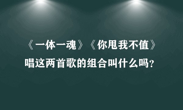 《一体一魂》《你甩我不值》唱这两首歌的组合叫什么吗？