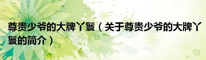 尊贵少爷的大牌丫鬟（关于尊贵少爷的大牌丫鬟的简介）