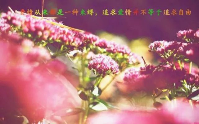 云初傅斯行小说 云初傅斯行免费阅读