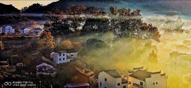 各种智能手机百家争鸣的今天，你认为哪款手机是性价比之王？