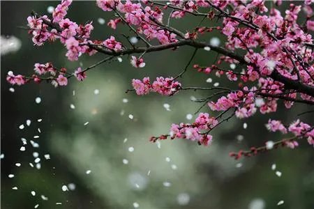 忆江南这首词是唐代诗人白居易的作品描绘了什么季节什么地方的美好风光?