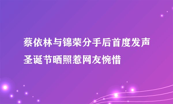 蔡依林与锦荣分手后首度发声圣诞节晒照惹网友惋惜