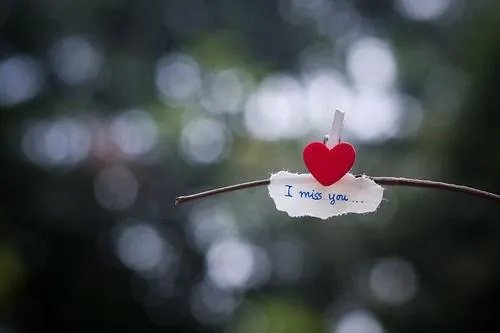 篮球之永远的王者小说江逸华 篮球之永远的王者全文阅读