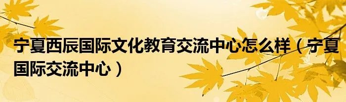 宁夏西辰国际文化教育交流中心怎么样(宁夏国际交流中心)