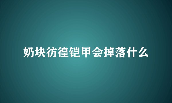 奶块彷徨铠甲会掉落什么