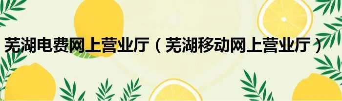 芜湖电费网上营业厅（芜湖移动网上营业厅）