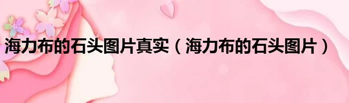 海力布的石头图片真实（海力布的石头图片）