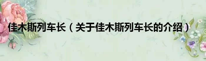 佳木斯列车长（关于佳木斯列车长的介绍）