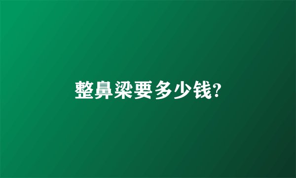整鼻梁要多少钱?