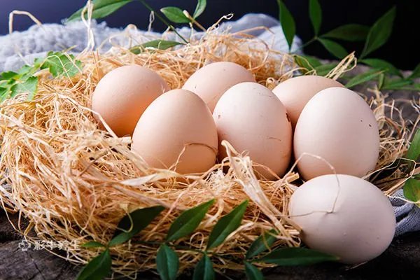 吃小龙虾不能和什么一起吃