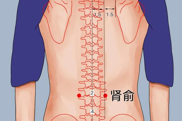 睡眠不好艾灸哪里图解