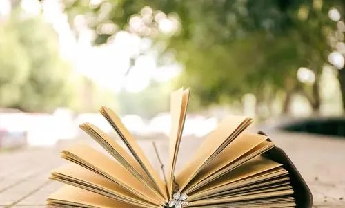 擅自泄露考生作文答卷老师被调查