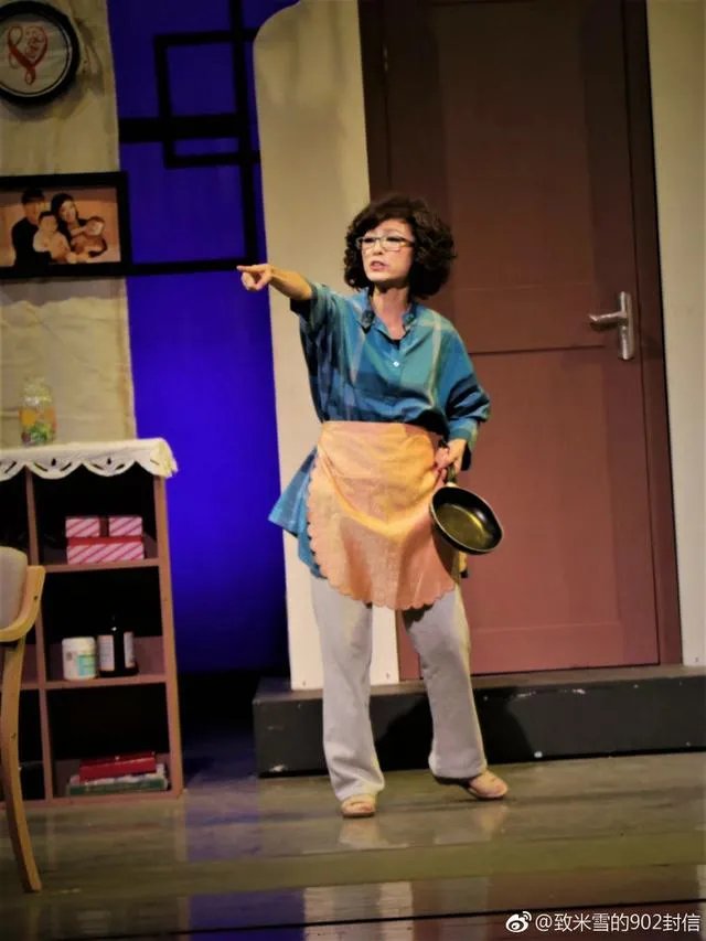 米雪演过的电视剧有哪些推荐？