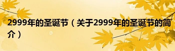 2999年的圣诞节（关于2999年的圣诞节的简介）