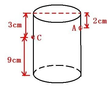 如图,圆柱形玻璃杯高为12cm,底面周长为24在杯内离杯底9cm的点C 处有一滴蜂蜜, cm.