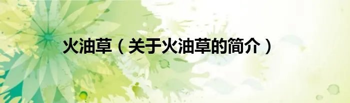 火油草（关于火油草的简介）