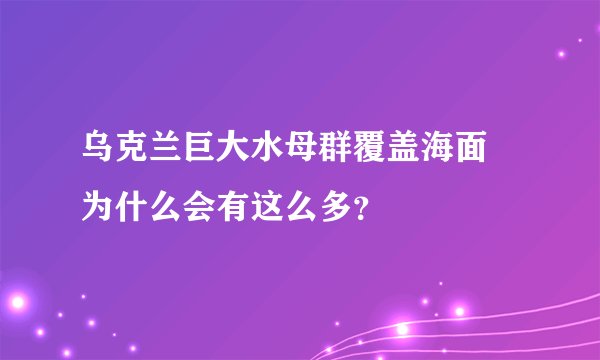 乌克兰巨大水母群覆盖海面 为什么会有这么多？