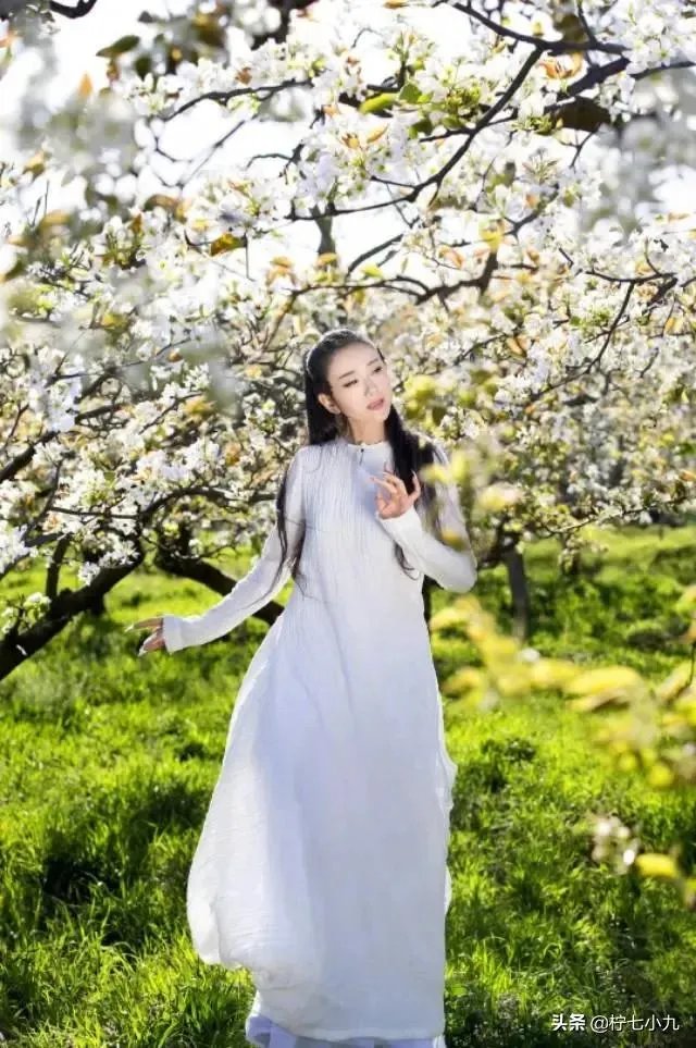 李若彤发文挺杨丽萍，你对不结婚的艺人怎么看？