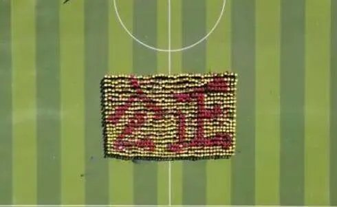 机电学院新生军训汇演动作流畅像动画,你对他们的表演有何评价?