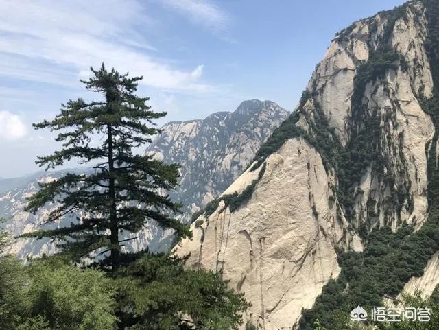 为什么西安翻译学院的校友网关闭了