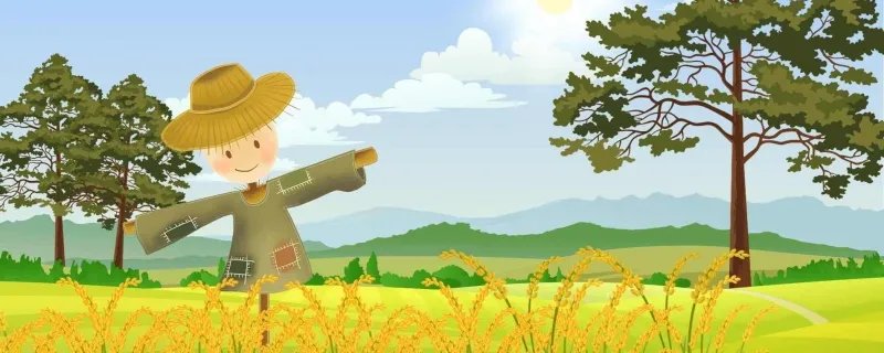 今年夏至是哪一天