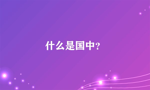 什么是国中？