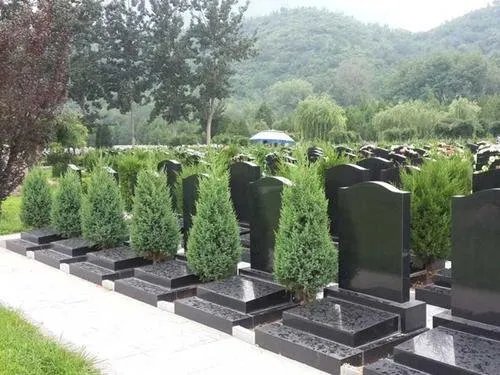 建议全面取消经营性公墓，这样做有什么好处？