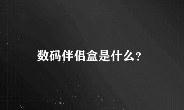 数码伴侣盒是什么？