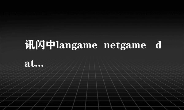 讯闪中langame  netgame   data 等都是什么意思啊??