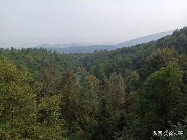 今年清明节不能扫墓吗？为什么？