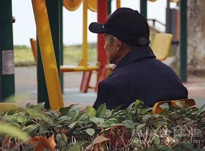 土鳖虫的功效与作用有什么