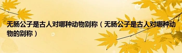 无肠公子是古人对哪种动物别称（无肠公子是古人对哪种动物的别称）
