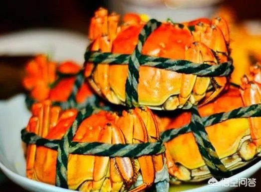 德国大闸蟹和阳澄湖大闸蟹，哪个好吃？