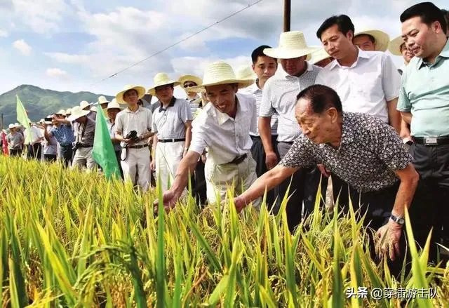 袁隆平真的逝世了吗？