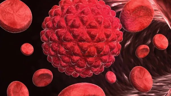 新冠病毒抗原检测临时性纳入医保 什么情况下需要新冠病毒抗体检测？