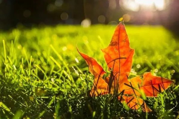 2020年立秋时间是啥时候？今年立秋是几点几分？