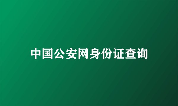 中国公安网身份证查询