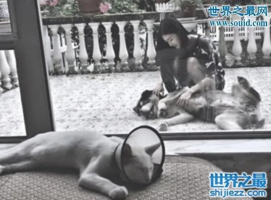 袁雨萱家庭背景曝光，后台太硬黑历史无数 