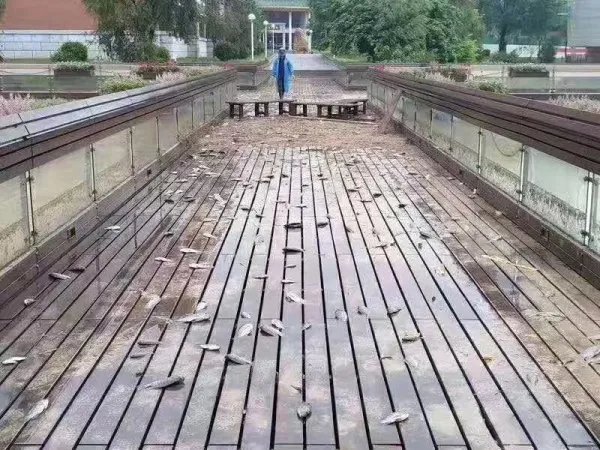 71年来首次7月无台风生成,在你看来这是好事吗?