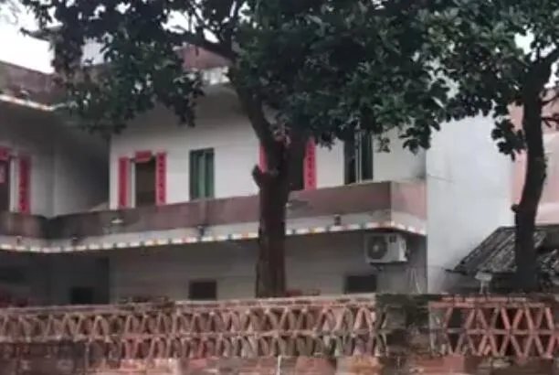 主播自带燃气做饭蹲守全红婵家是怎么回事 主播自带燃气做饭蹲守全红婵家什么情况