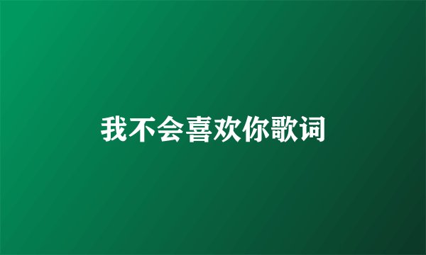 我不会喜欢你歌词