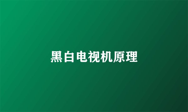 黑白电视机原理