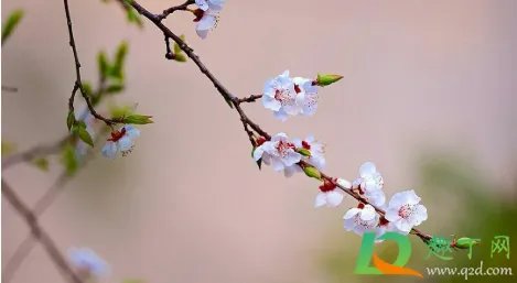 2022年立春是几月几号几点几分